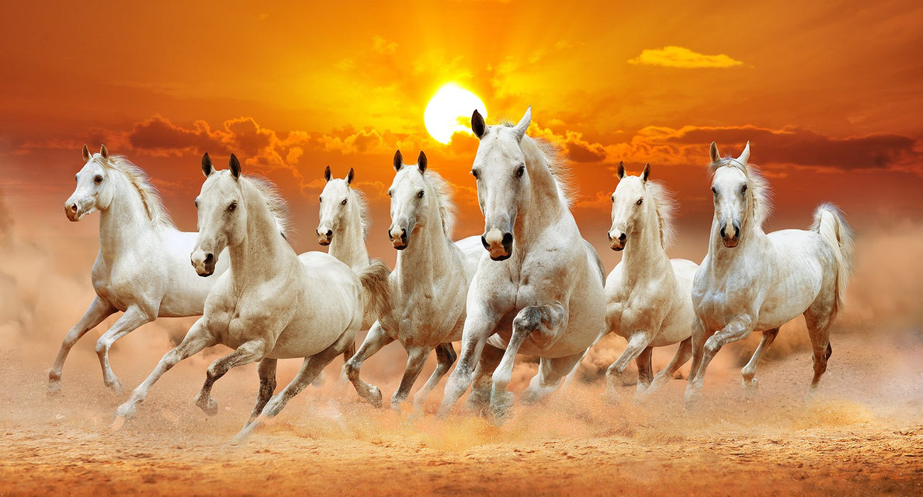 Buy Art Prints: 7 White Running Horses